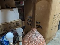 PXL 20250408 175359122