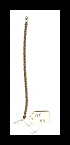 scand0006