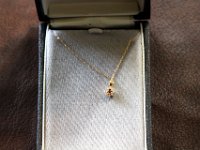 IMG 0088