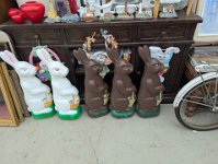 PXL 20250331 182758716