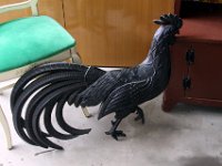 IMG 0031