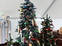 IMG 0042