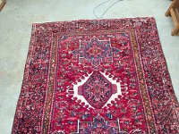 PXL 20250731 144814846