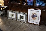 IMG 0378