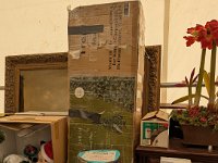 PXL 20251204 192627050