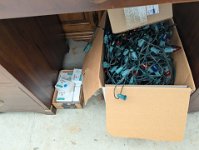 PXL 20251204 192641519