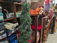 PXL 20251204 192807247