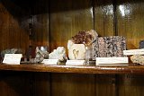 IMG 0156
