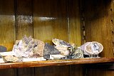 IMG 0161
