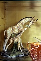 IMG 0828