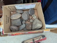 PXL 20250718 161300140