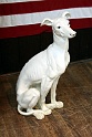 IMG 0098