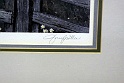 IMG 0123