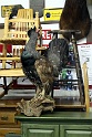 IMG 0132