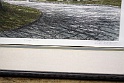 IMG 0176