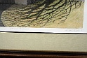 IMG 0178