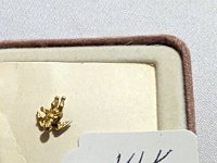 PXL 20230629 011213714