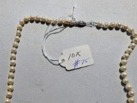 PXL 20230629 011634260.MP