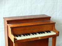 IMG 0548