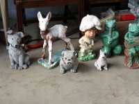 IMG 0561