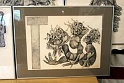 IMG 0345