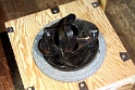 IMG 0356