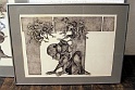 IMG 0370