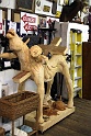 IMG 0381