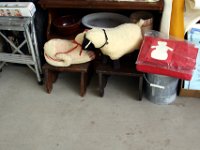 IMG 0348