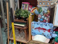 PXL 20260305 195759171.PORTRAIT