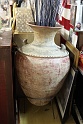 IMG_0230