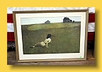 IMG_0080