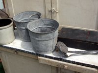 IMG 0102