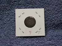 IMG 0018