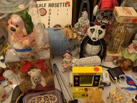 PXL 20251031 182743462