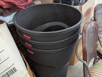 PXL 20251031 183020359