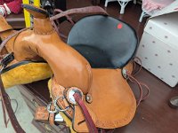 PXL 20251113 140801950