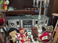 PXL 20251113 202159684