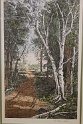 IMG 0118
