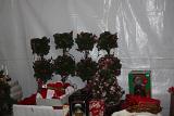IMG 0288
