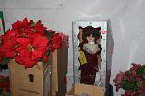 IMG 0292