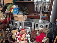 PXL 20251120 205726156