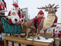 PXL 20251120 205847714