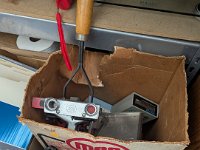 PXL 20251120 210143741