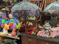 PXL 20251031 183144415