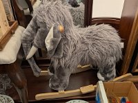 PXL 20251031 183152340