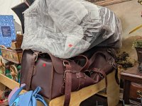 PXL 20251031 183216829