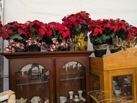 PXL 20251104 183459847.MP