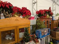 PXL 20251104 183502830.MP