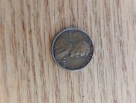 PXL 20251104 194411620.MP